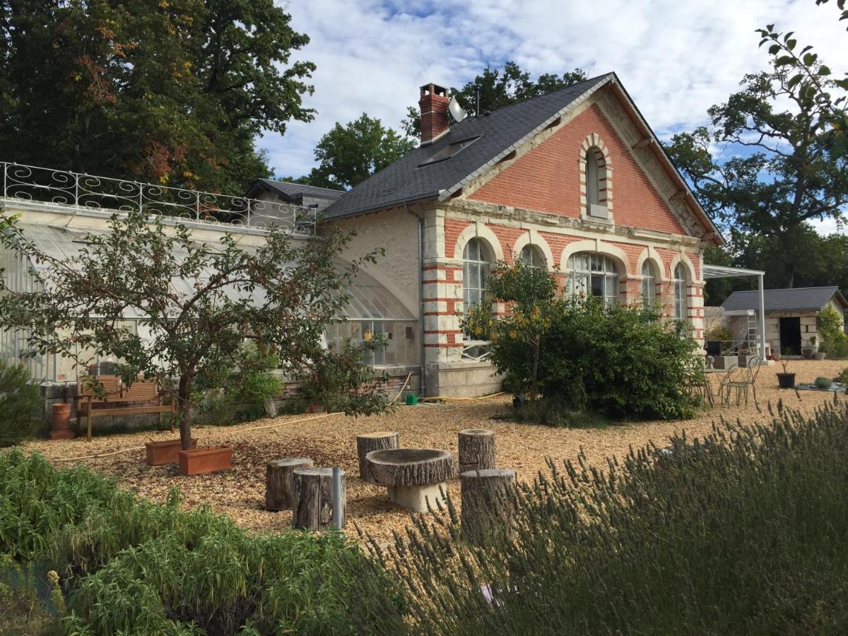 L'Orangerie "The Orangery" Du Parc Des Nouies Villa Selles-sur-Cher Eksteriør billede